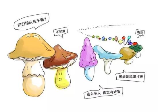 蘑菇2.jpg