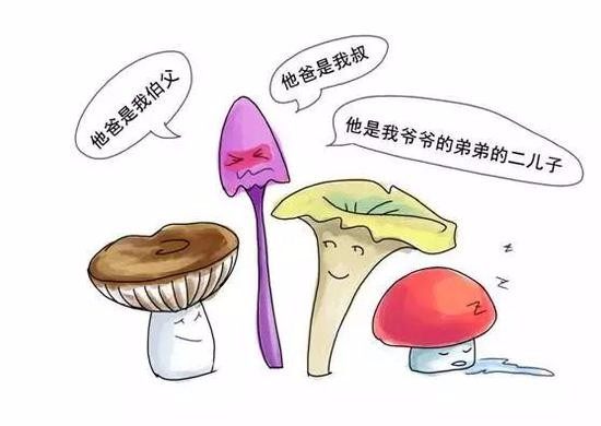 蘑菇6.JPEG